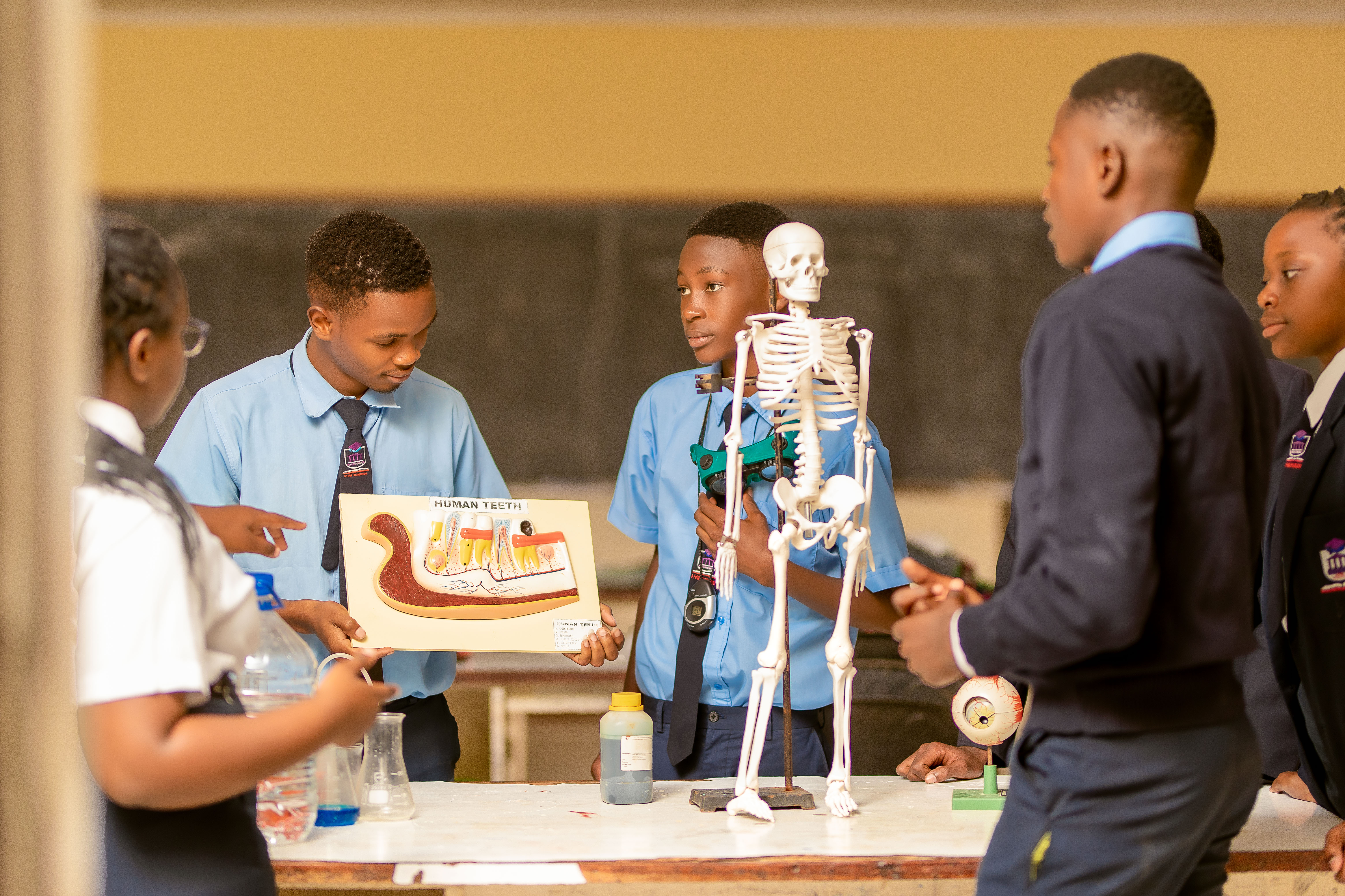 BBA school life